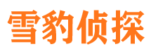 北海侦探公司